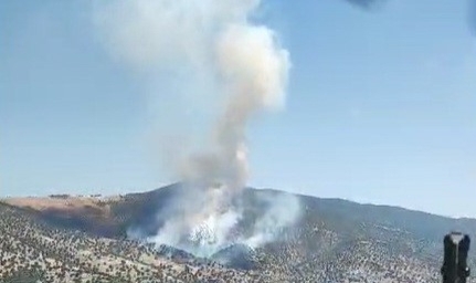 Manisa’da orman yangını!