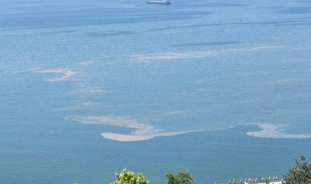 Marmara Denizi'nde müsilaj endişesi!
