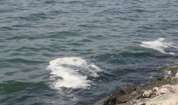 Marmara Denizi'nde müsilaj şüphesi!
