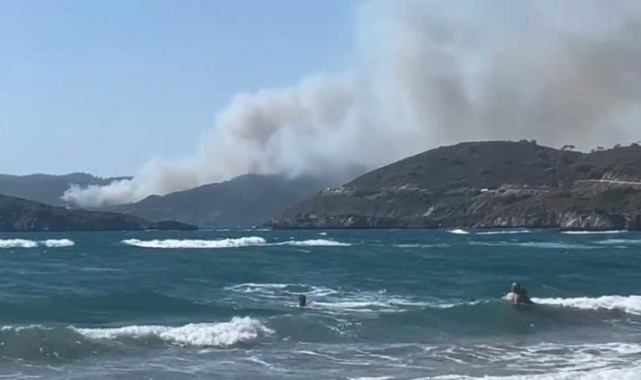 Marmaris'te orman yangını!