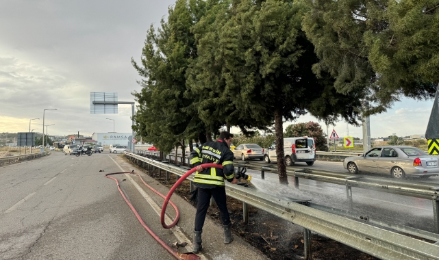 Mersin'de refüjdeki ağaçlar yandı!