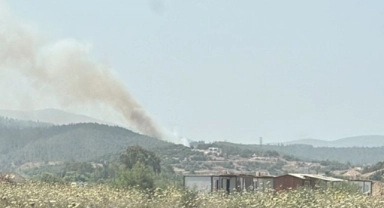 Milas'ta orman yangını