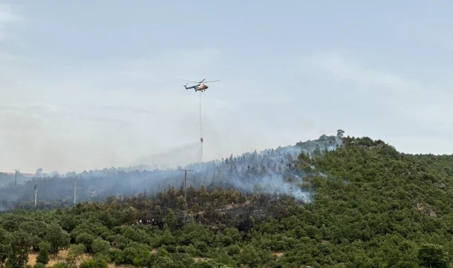Muğla, Balıkesir ve Denizli'de 4 noktada orman yangını