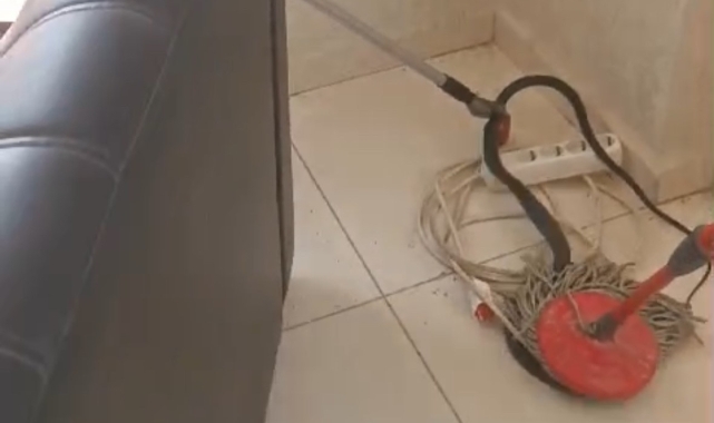 Ofisin içine yılan girdi