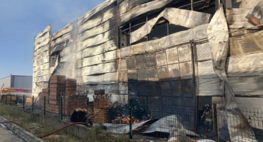 Palet fabrikasında korkutan yangın