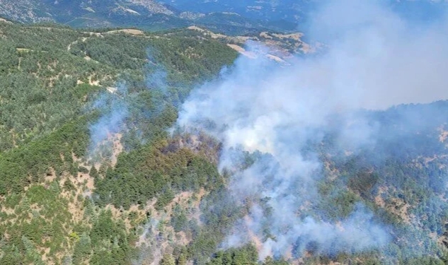 Putin, Kuzey Kore'den iş gücü isteyecek