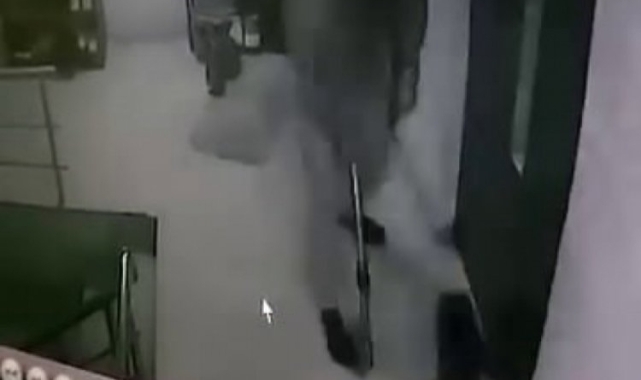 Sakarya'da kediye sopa ile saldıran kişi gözaltına alındı