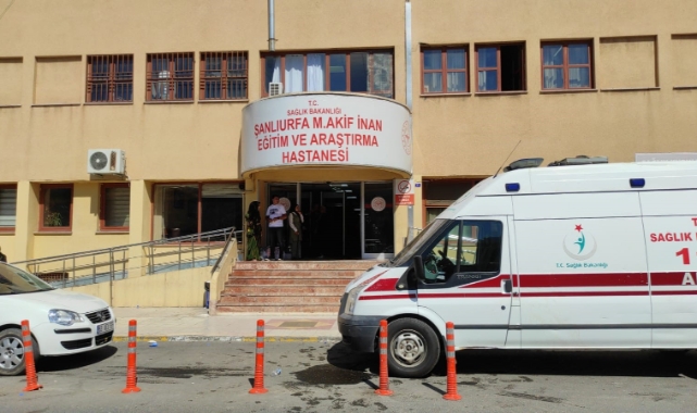 Şanlıurfa'da kuduz köpek vakası