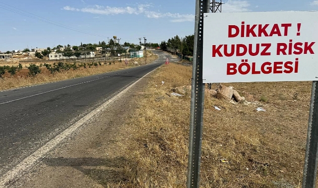 Şanlıurfa'da kuduz vakaları nedeniyle 2 mahalle karantinada!