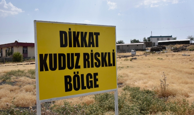 Şanlıurfa'da mahalleye kuduz karantinası!