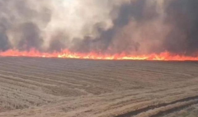 Şanlıurfa'da tam 100 dönem arazi alev alev yandı