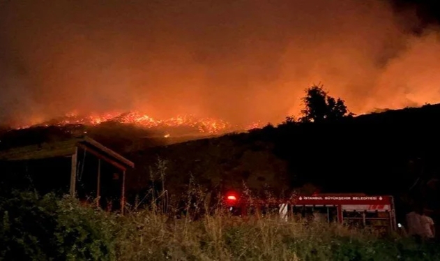 Sarıyer'de otluk alanda yangın