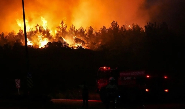 Selçuk ve Menderes'te orman yangınında son durum