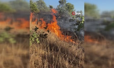 Selendi’de yangın mahallelinin müdahalesiyle söndürüldü