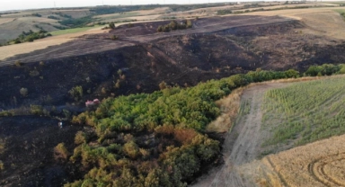 Silivri’de yangın: 30 dönümlük tarla yok oldu