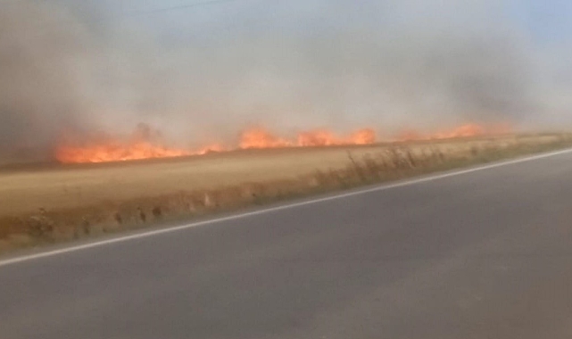 Tekirdağ’da 180 dönüm buğday yandı: Yaralılar var!