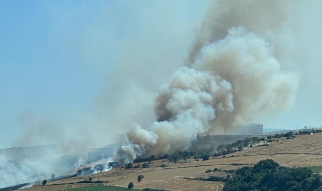 Tekirdağ’da alev alev yanan buğday tarlası küle döndü!