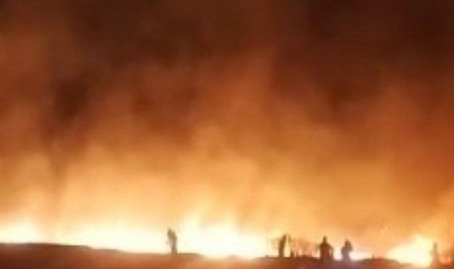 Tunceli'de yangın: 100 dönümlük ekili alan zarar gördü