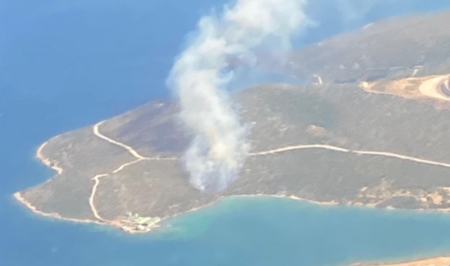 Urla’da orman yangını