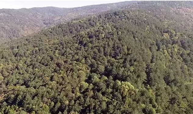 Valilikten sıcaklıklara karşı dikkatli ve tedbirli olun uyarısı