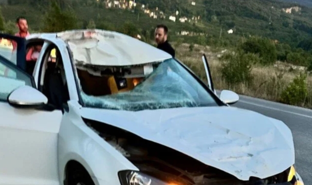 Yola fırlayan geyiğe otomobil çarptı