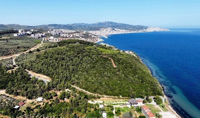 116 dönüm deniz manzaralı orman ihalesine en yüksek fiyat özel sektörden!   