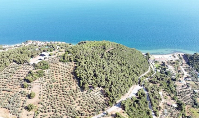 116 dönüm deniz manzaralı ormana Mudanya Belediyesi talip oldu