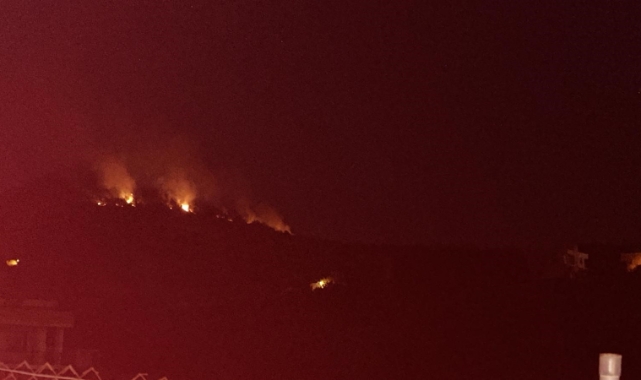 Adana'da orman yangını!