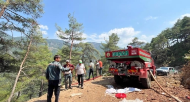 Adana’da orman yangını