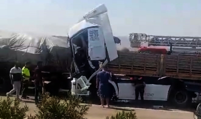Anız yangını, zincirleme kazaya neden oldu