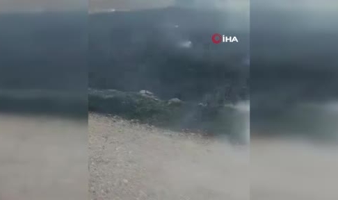 Ankara'da arazi yangını