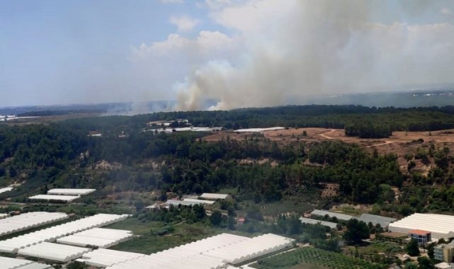Antalya'da orman yangını