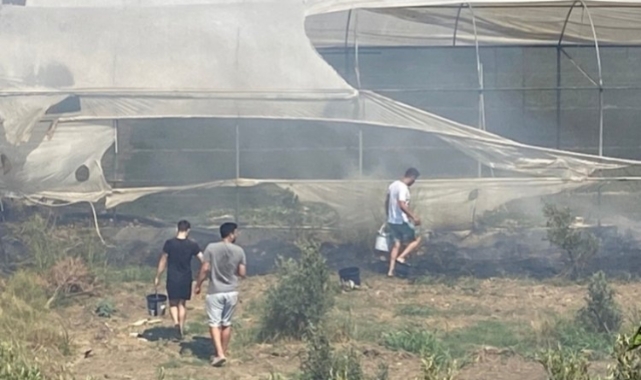 Antalya'daki yangında seralar zarar gördü