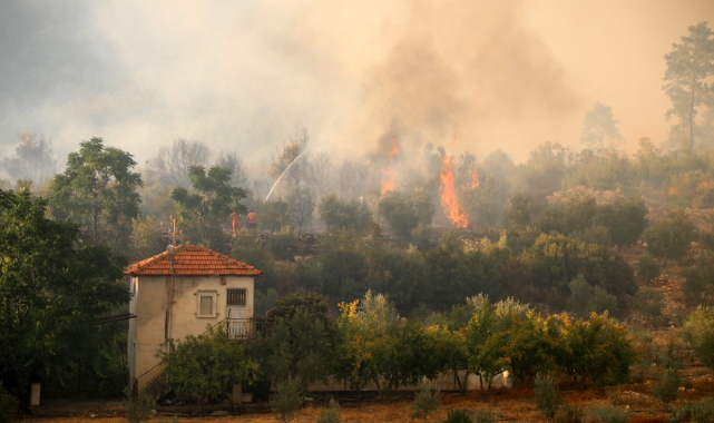 Antalya'nın ciğerleri yandı! Tam 65 hektar...