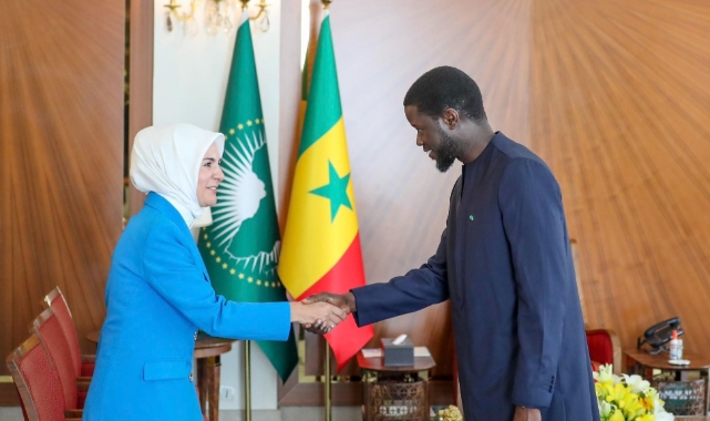 Bakan Göktaş, Senegal Devlet Başkanı Faye ile görüştü