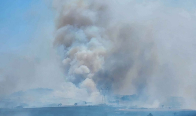 Balıkesir'de orman yangını