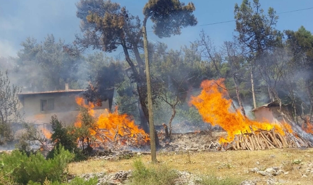 Balıkesir'de orman yangını