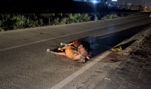 Başıboş ata çarpıp arkasına bile bakmadan akçtı!