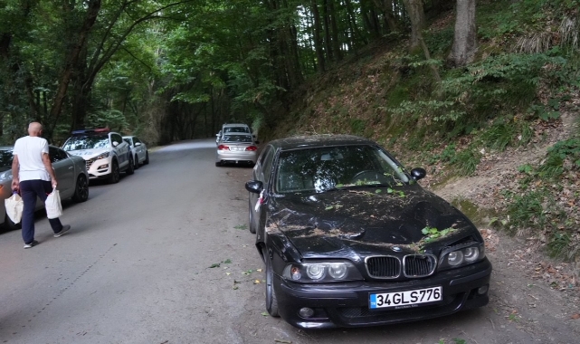 Belgrad Ormanı’nda ağaç araçların üzerine devrildi!   