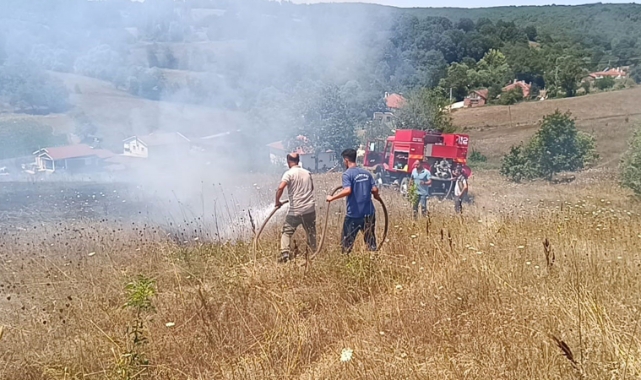 Bilecik'te ot yangını