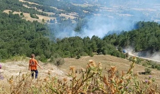 Bilecik'te son 2 günde 3'üncü orman yangını