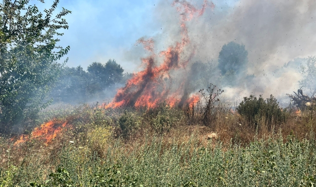 Bursa'da korkutan yangın