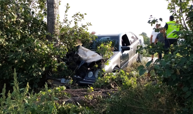 Bursa’da otomobil ağaçlara çarptı: 2 yaralı
