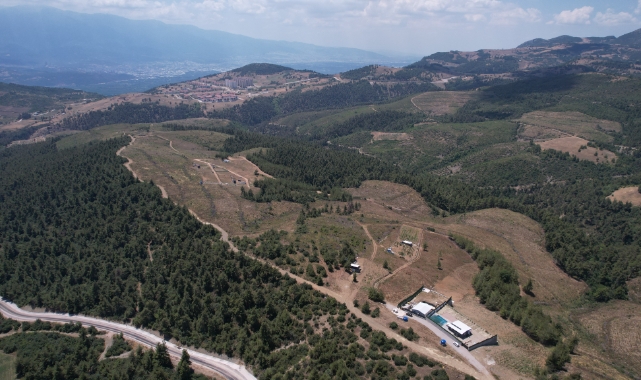 Bursa'da yüzlerce çam ağacı kesildi, köylüler hıçkıra hıçkıra ağladı