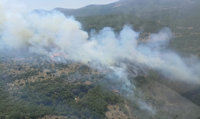 Bursa'daki yangına havadan ve karadan müdahale sürüyor