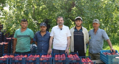 Bursa Şeftalisi'ne Avrupa'dan tescil müjdesi