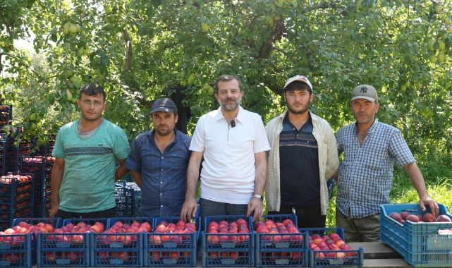 Bursa Şeftalisi'ne Avrupa'dan tescil müjdesi