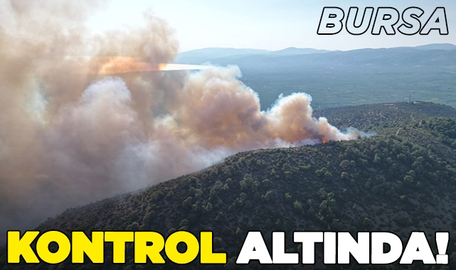 Bursa Valisi açıkladı! Orman yangını kontrol altında