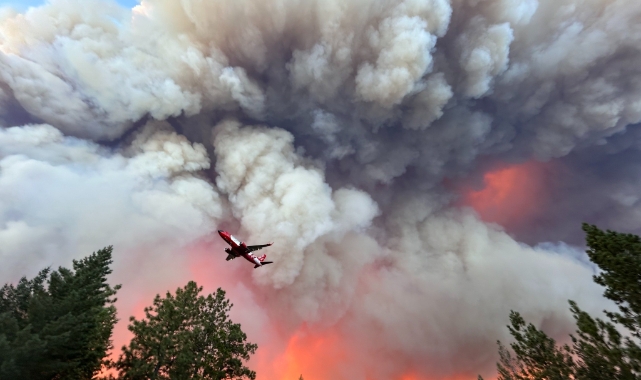 California'nın en büyük orman yangını: 145 bin dönümden fazla alan kül oldu