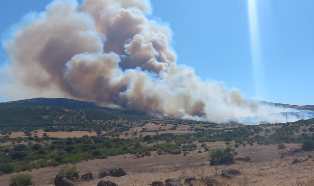 Çanakkale'de bir ayda 132 yangın!